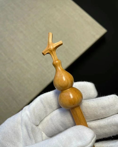 桃韻古都，文創花開——第四十一屆蘭州桃花會盛大開幕